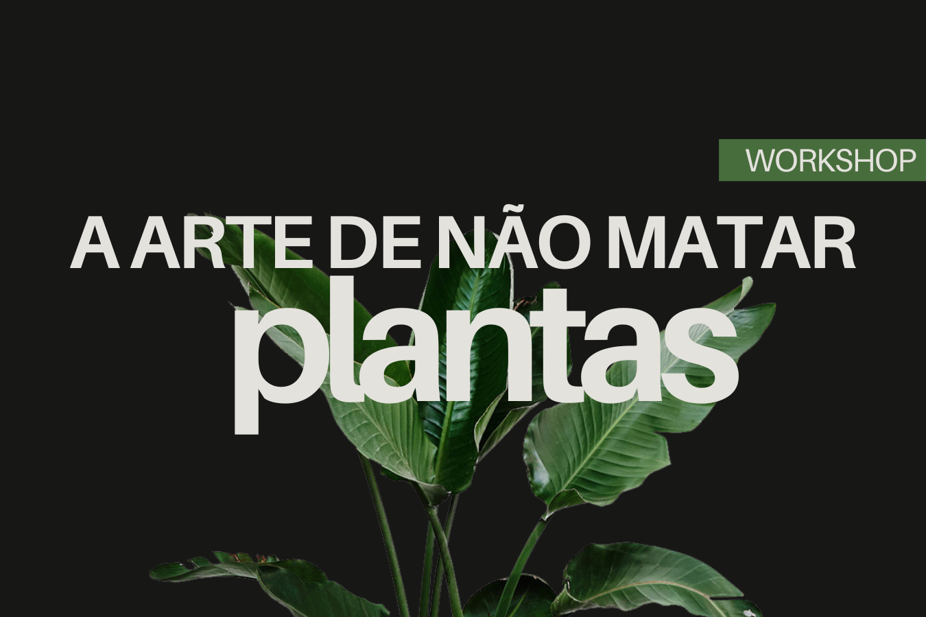 BioLab Lisboa