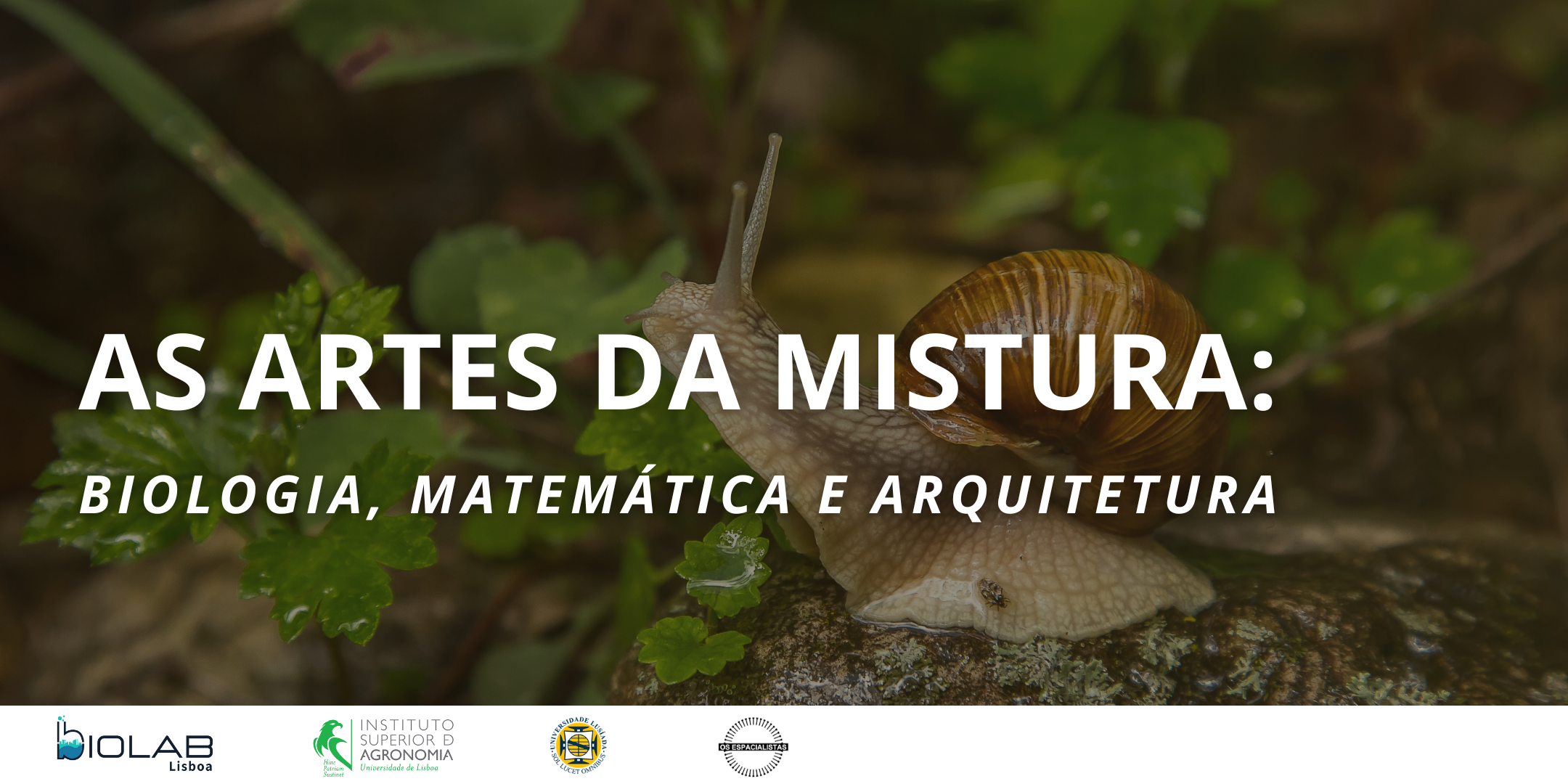 As artes da mistura: biologia, matemática e arquitetura